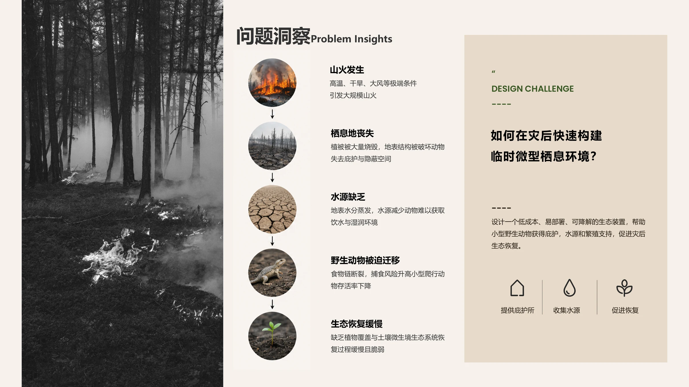 栖息地丧失、水源缺乏和生态恢复缓慢的问题洞察