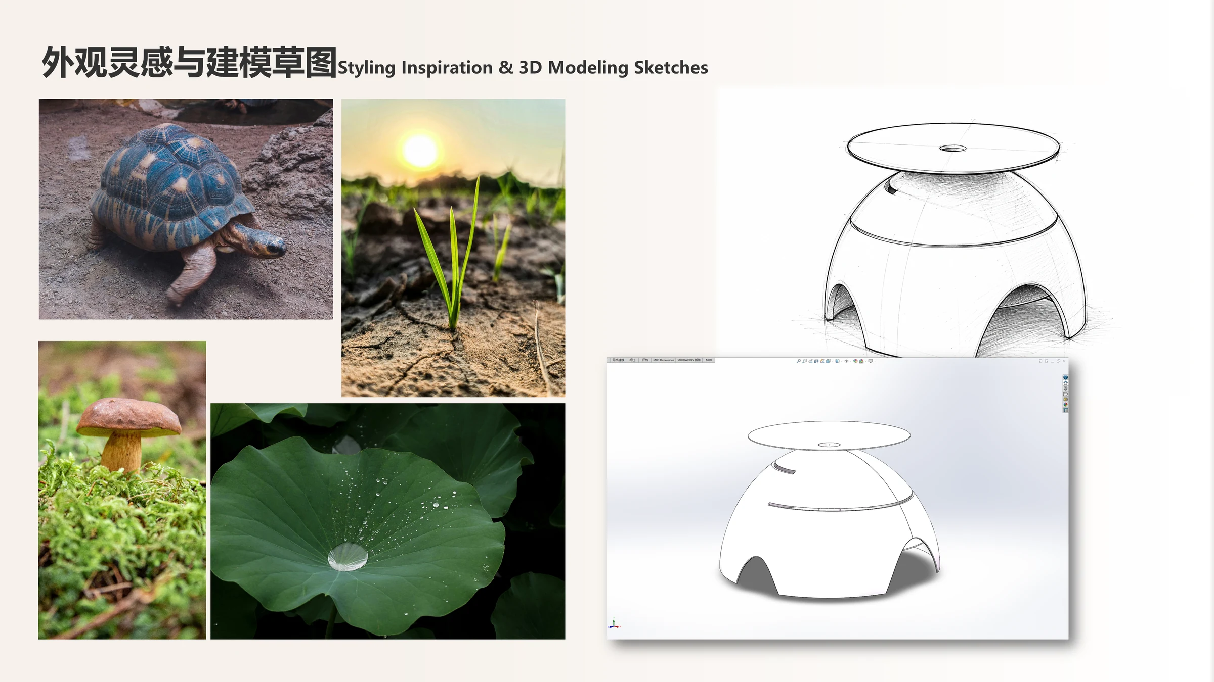 鳞烬栖舱外观灵感、草图与三维建模过程