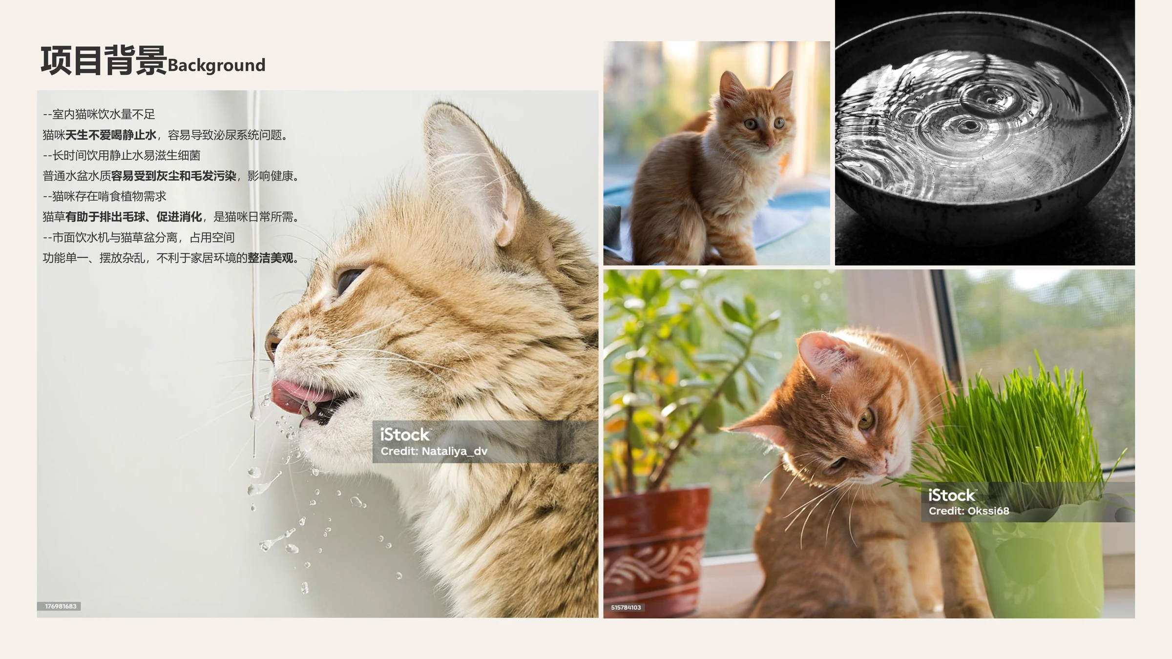 猫咪饮水、猫草与空间占用问题分析